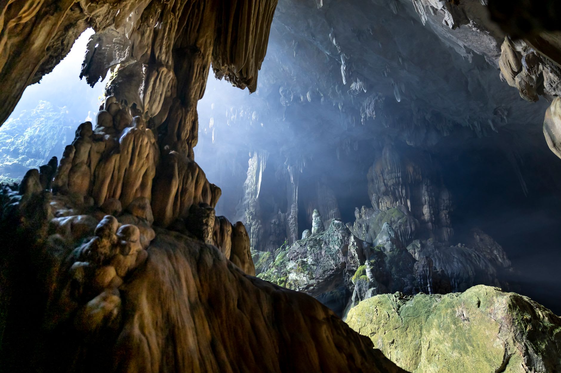 Plafond de la Grotte de la Flûte de Roseau couvert de formations de stalactites denses captant une lumière verte et ambrée, avec une passerelle touristique visible en dessous pour donner l'échelle