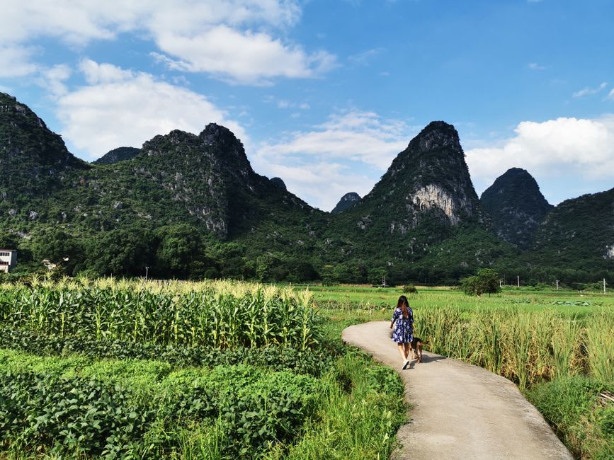 Cyclists riding past limestone karst peaks along a farmland road near Guilin