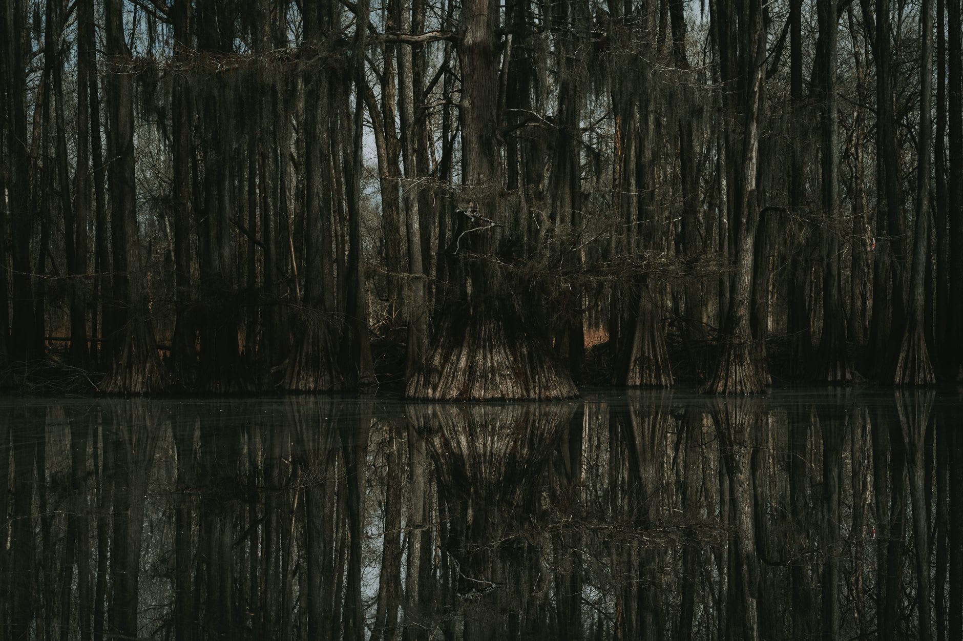 Raised Cajun fishing camps on stilts over the Atchafalaya water, lights reflecting on the dark surface at dusk