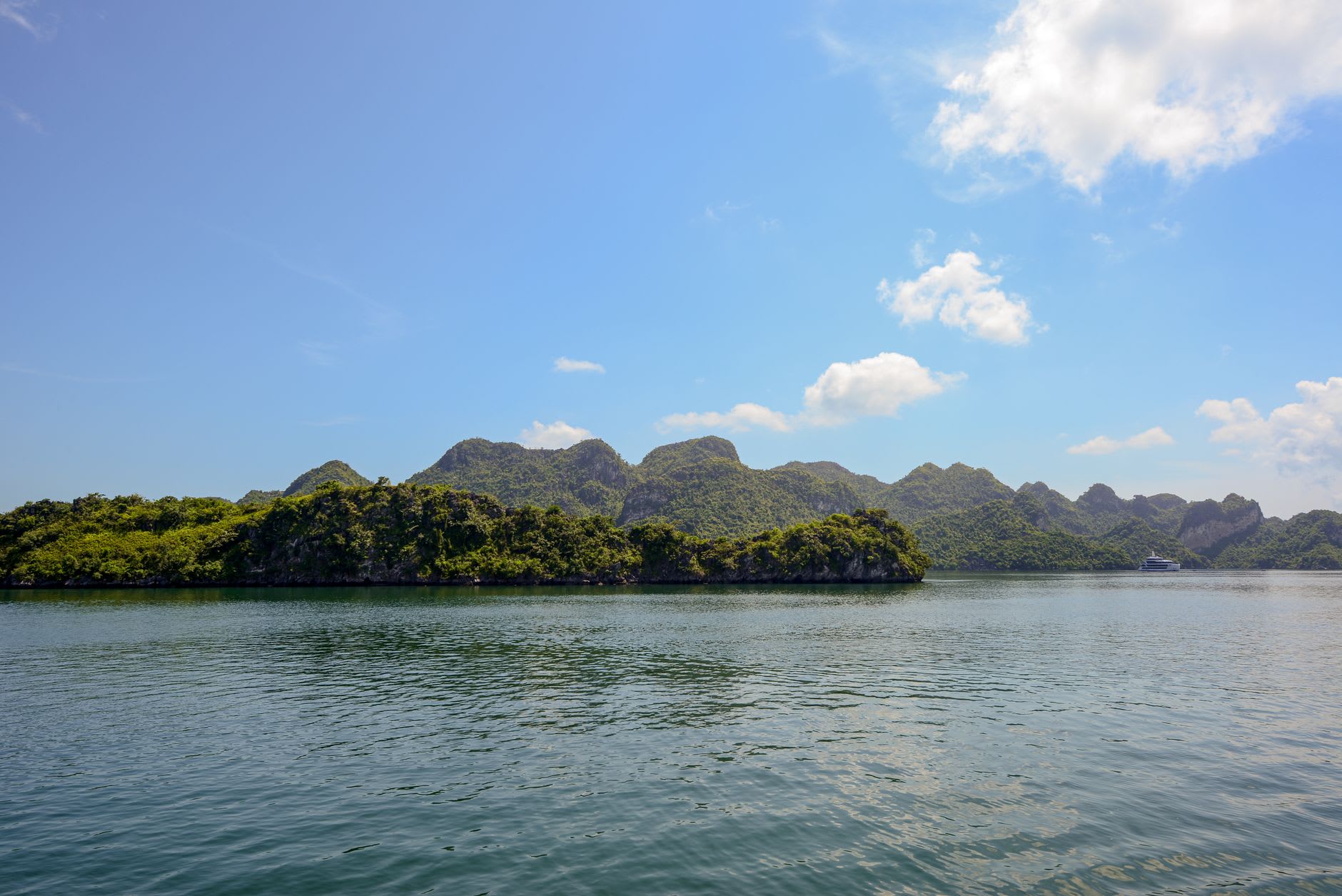 Cat Ba harbor at early morning with squid boats returning from night fishing