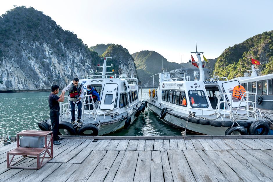 Cruise boats docked at the harbor on Tuần Châu Island at sunrise