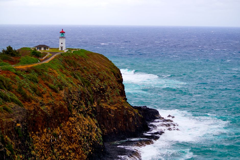 Red-footed boobies and albatross circling the cliffs near Kilauea Point lighthouse against a bright blue sky