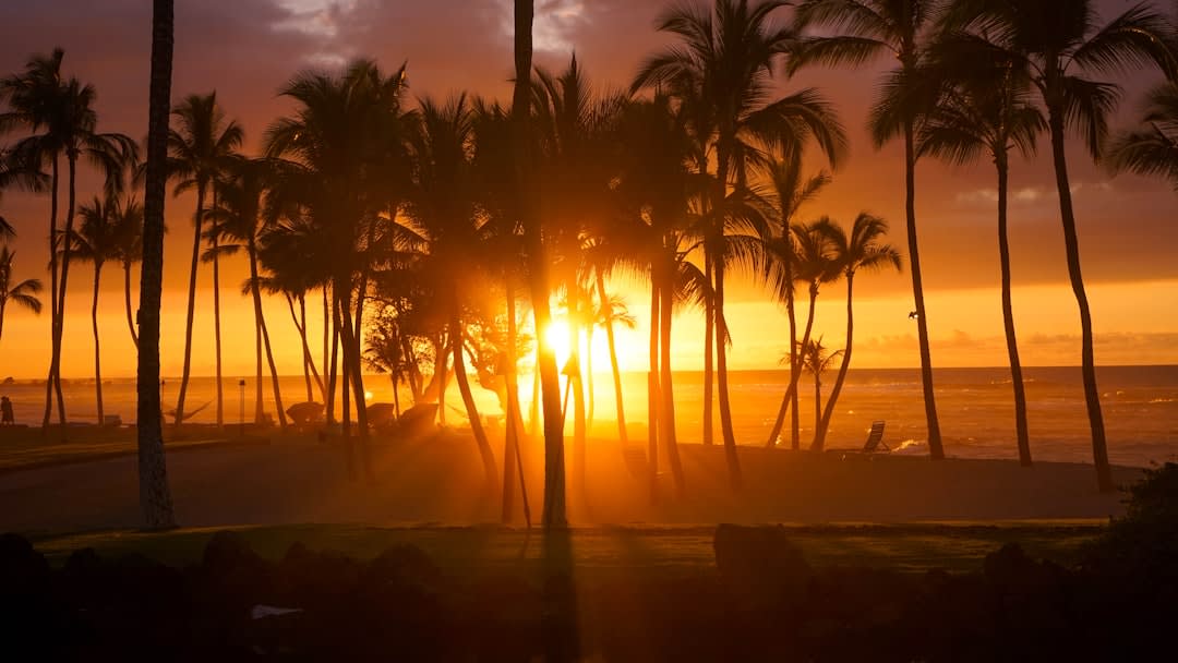 Ancient Hawaiian petroglyphs carved into lava rock at Puako on the Kohala Coast