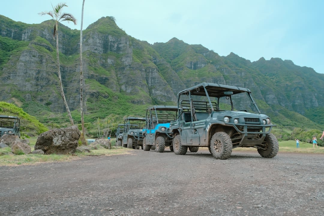 Bétail paissant dans un pâturage avec les falaises Koolau et l'îlot Mokolii visibles au large