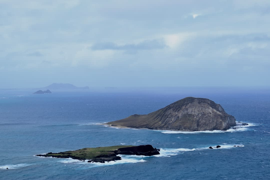 Ballena jorobada saltando en el canal oceánico visible desde el mirador de Makapu'u