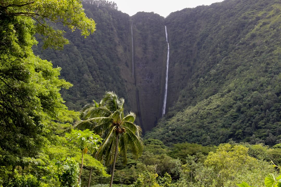 El sendero en zigzag que baja hacia la playa de arena negra del Valle de Pololu