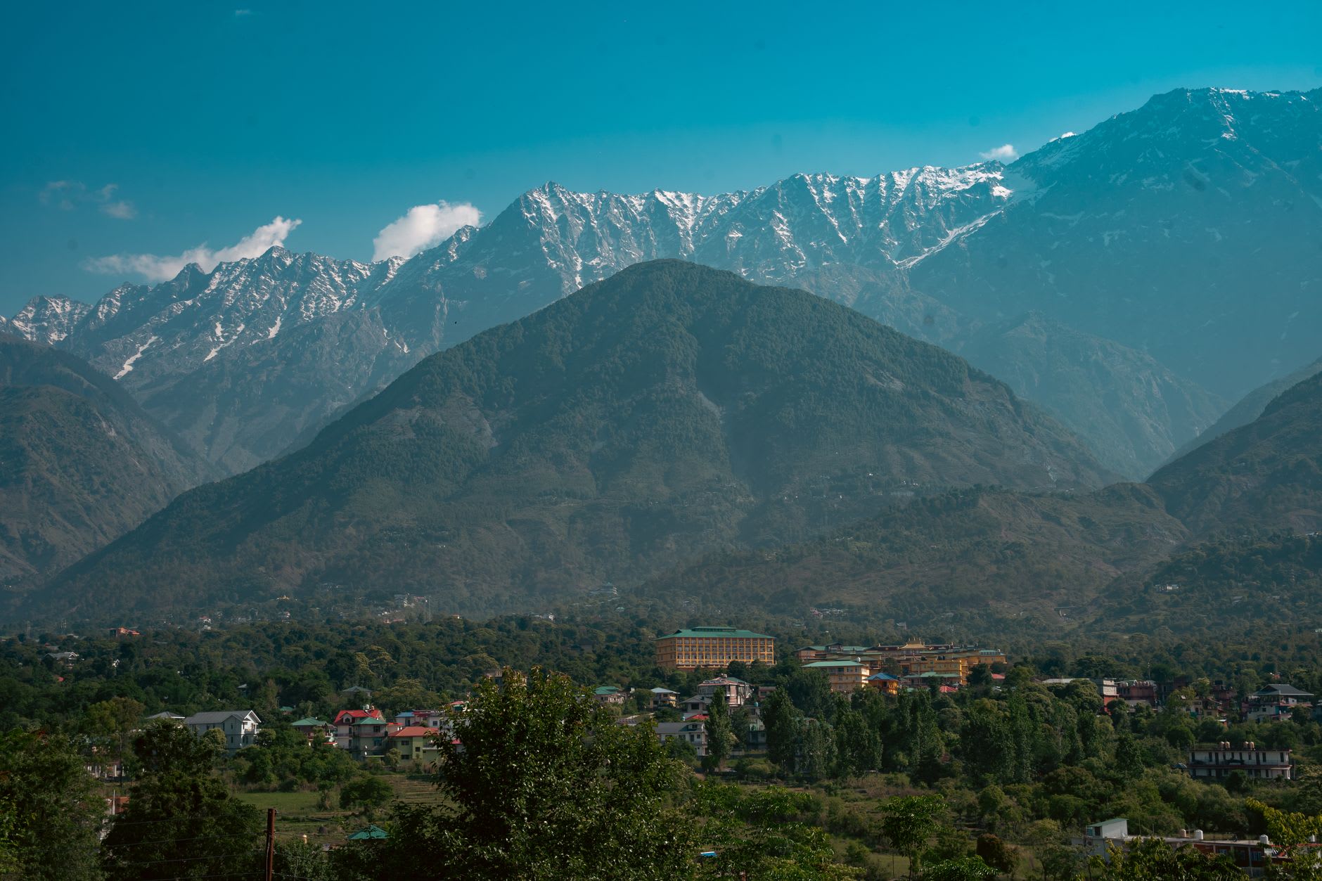 The golden roof of Tsuglagkhang temple with Dhauladhar peaks rising white and sharp into clear sky behind