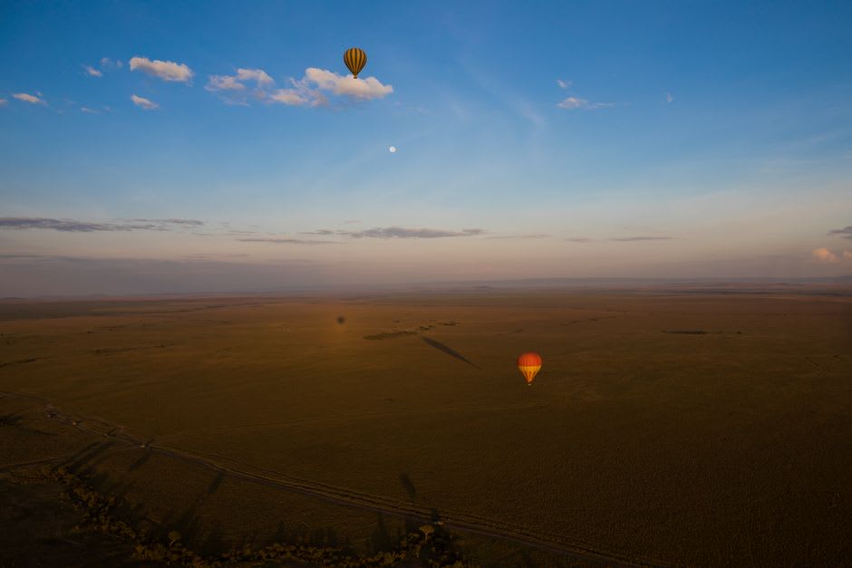 Globos aerostáticos despegando al amanecer sobre las tierras de cultivo planas de la Llanura de Tokachi a las afueras de Obihiro, niebla baja sobre los campos