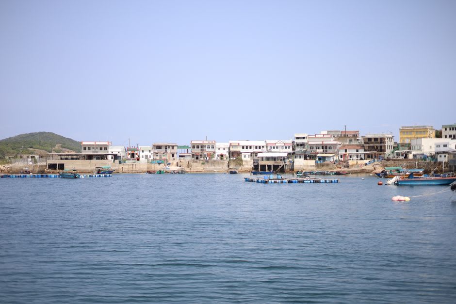 Vista desde el punto de vista de un buceador de un arrecife de coral poco profundo frente a Tung Ping Chau, con pequeños peces de arrecife visibles sobre el coral