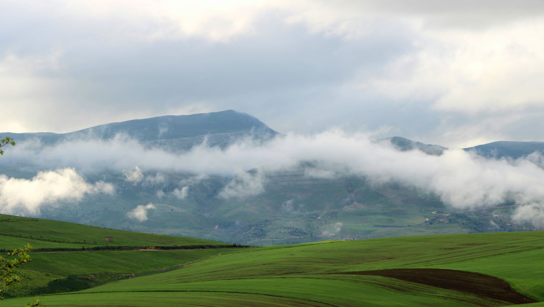 The Simien Mountains escarpment in afternoon light, the plateau edge giving way to sheer cliffs that drop into cloud-filled valleys a thousand metres below