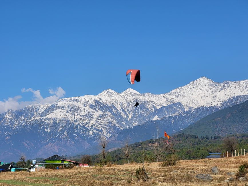 The Dhauladhar mountain range rising behind the Billing paragliding launch site