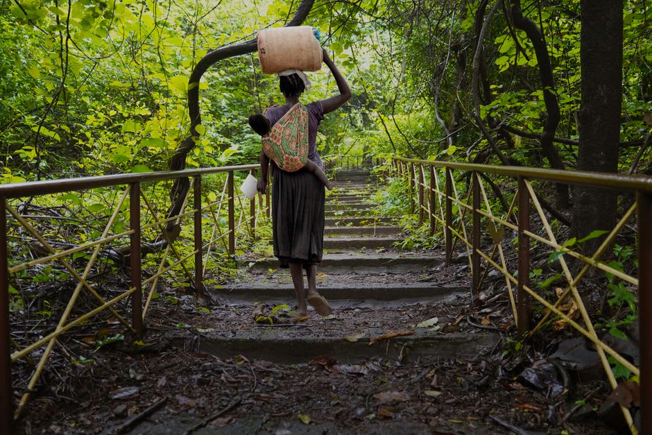 The steep jungle staircase descending toward Nongriat village near Cherrapunji