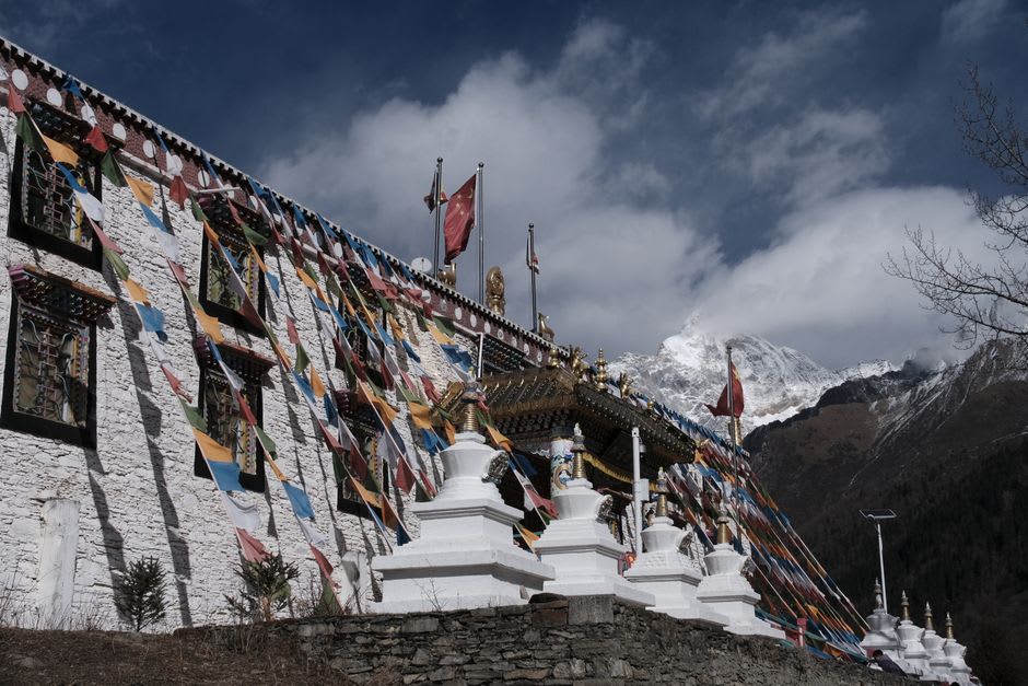 Prayer flags fluttering over a hillside monastery courtyard near Dharamshala with pine forest below