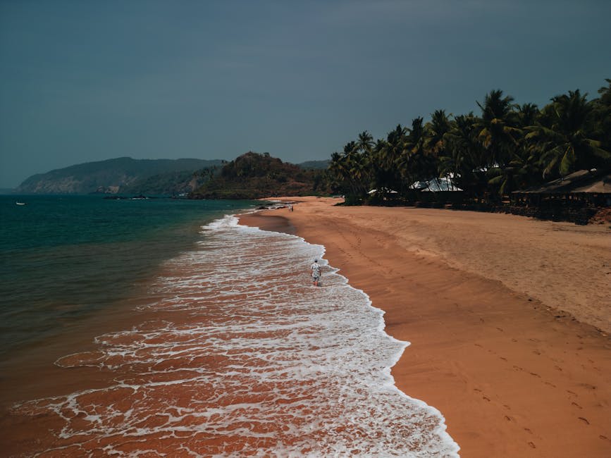 A palm-fringed beach in Goa with colourful boats on the sand