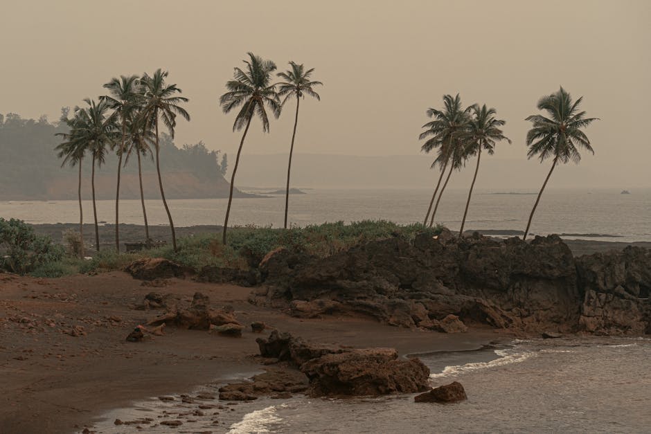 Colourful fishing boats moored in a Goan harbour at sunset
