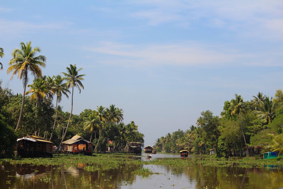 A traditional houseboat gliding through Kerala's palm-lined backwaters
