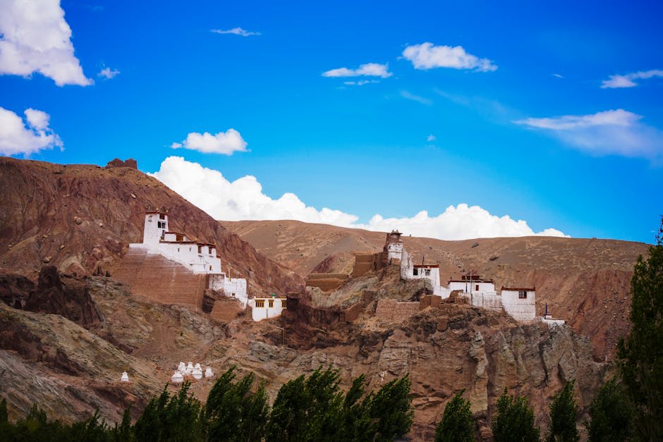 Mountain road winding through dramatic high-altitude Ladakh landscape