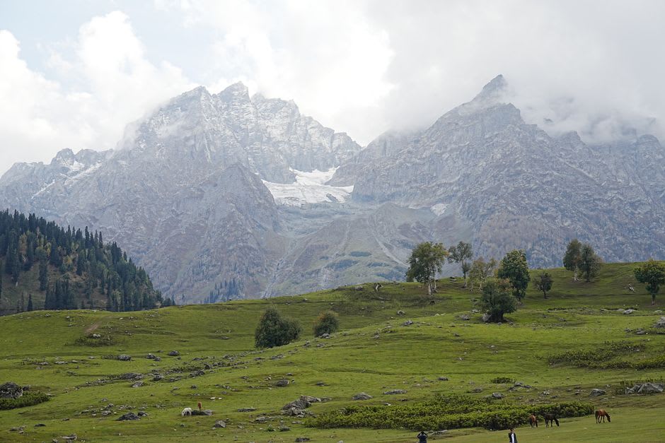 A shepherd leads a pony along a trail through Aru Valley's alpine meadow