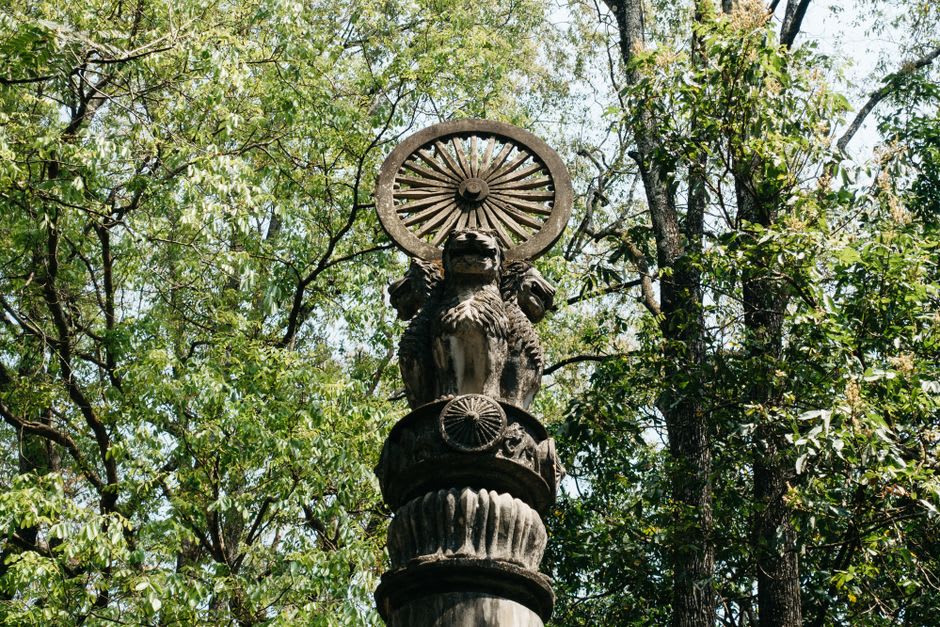 The polished sandstone Ashokan lion capital displayed in the Sarnath site museum