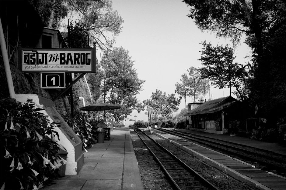 The narrow-gauge toy train winding through pine forest on the UNESCO Kalka-Shimla railway