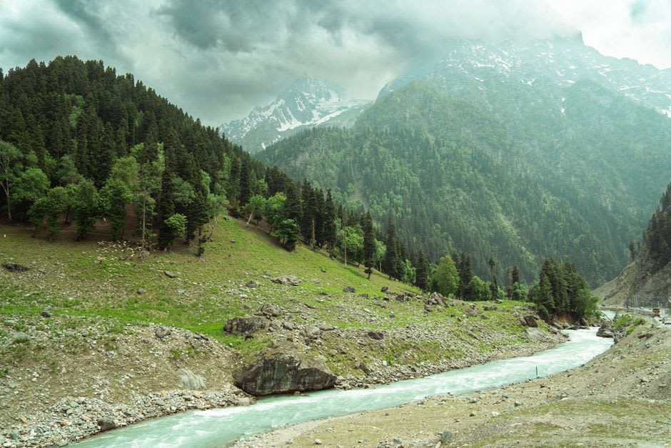 A line of ponies crossing a meadow trail toward Thajiwas Glacier