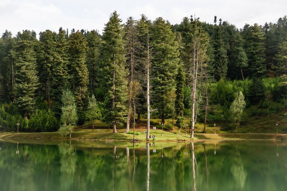 Nilnag Lake sitting still and cold within a deodar forest above Yusmarg