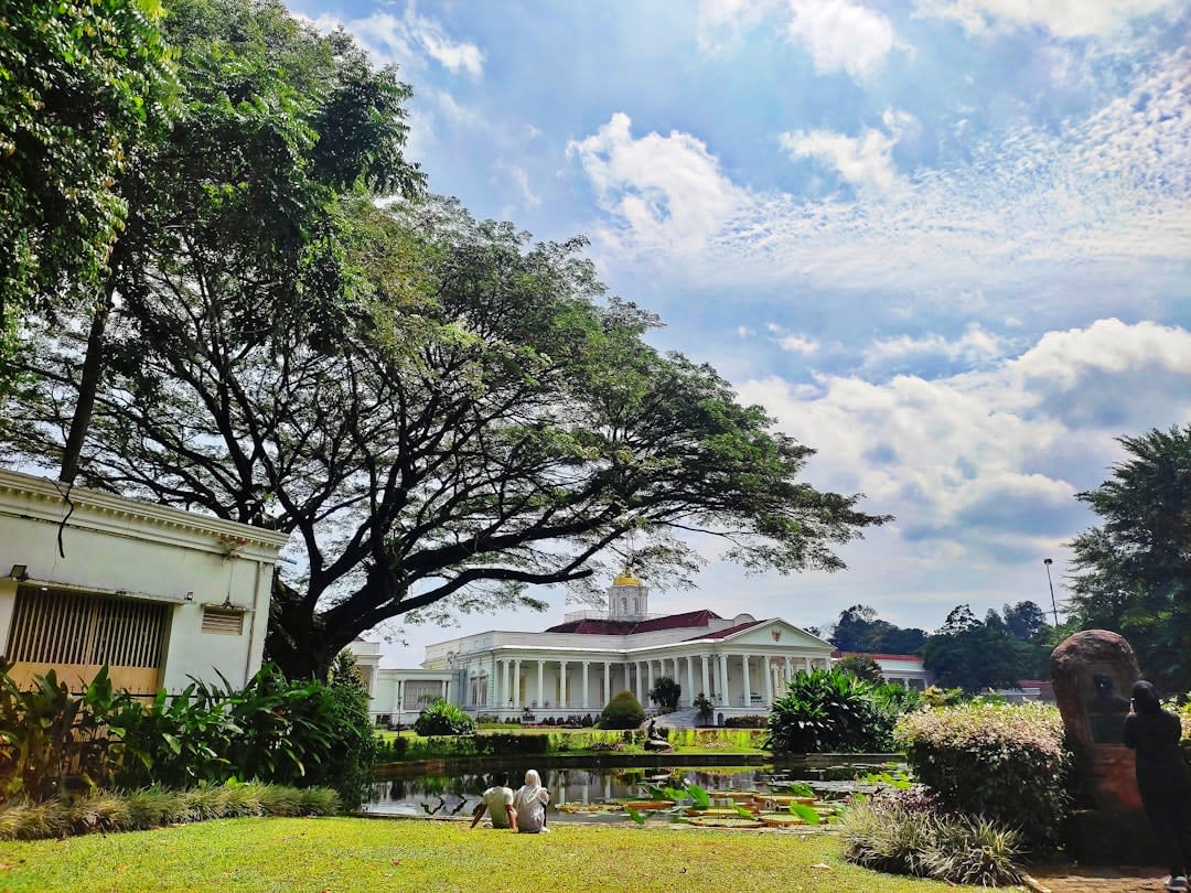 Spotted deer grazing on the lawn of Istana Bogor palace within the botanical gardens