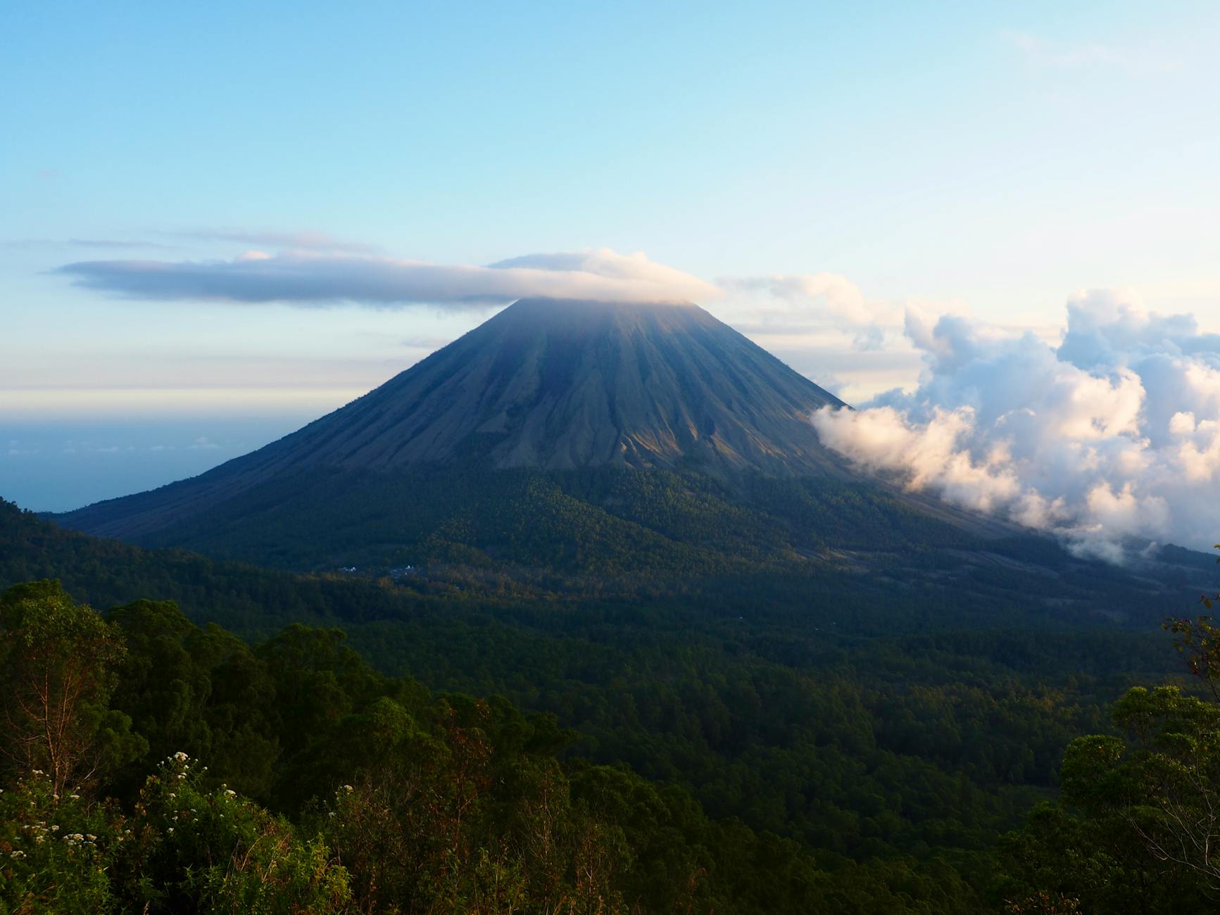 Lush tropical forest and traditional landscape in eastern Indonesia