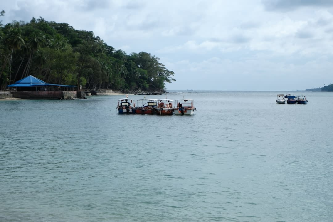 Wooden boats anchored in shallow turquoise water off a Karimunjawa beach