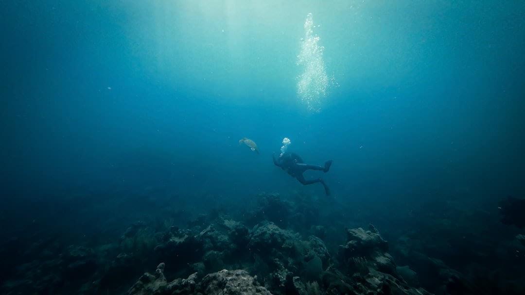 Snorkeler swimming above a coral reef with a sea turtle in clear water