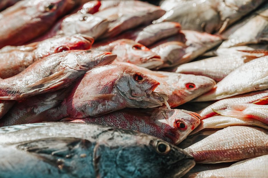 A crowded fish market stall in Manado with fresh catch laid out on ice