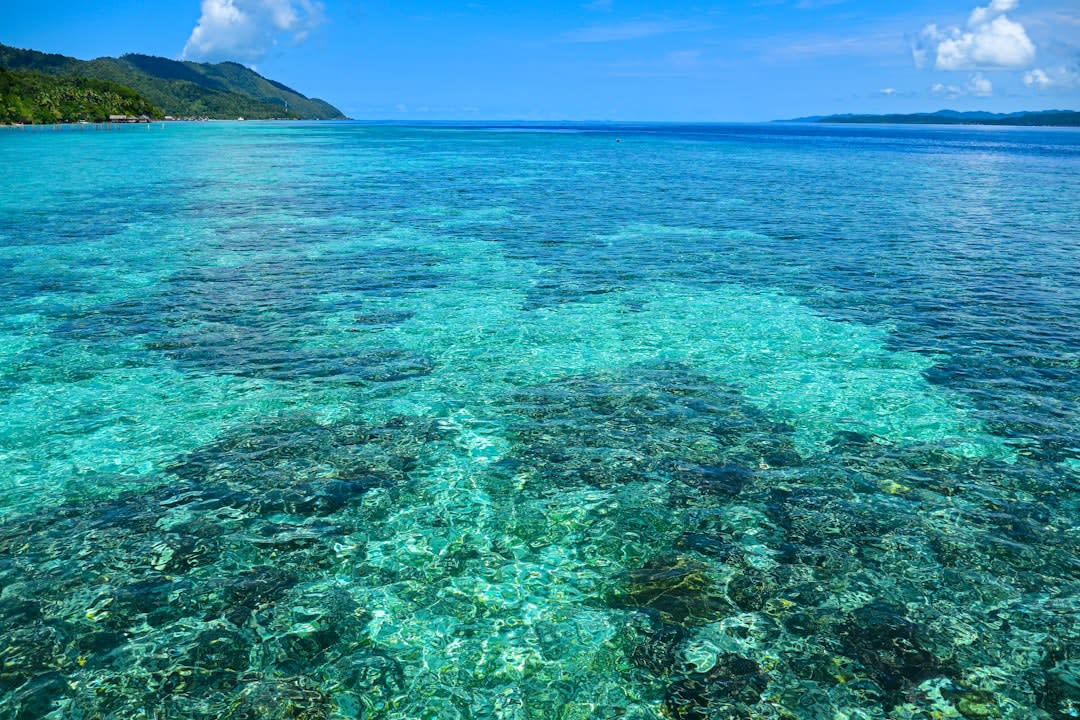 Coral reef and small fish visible in clear turquoise water off the coast near Maumere