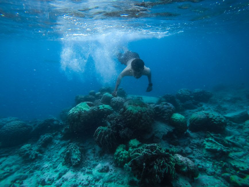 Snorkeler swimming above a vibrant coral reef near the island shore