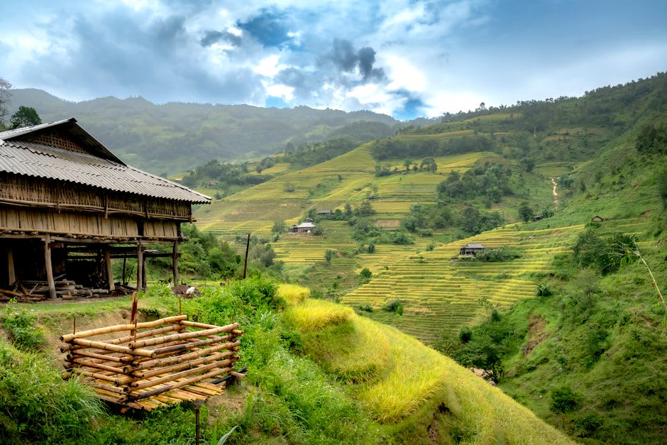 Traditional stilt houses beside a rice paddy with limestone peaks in the background