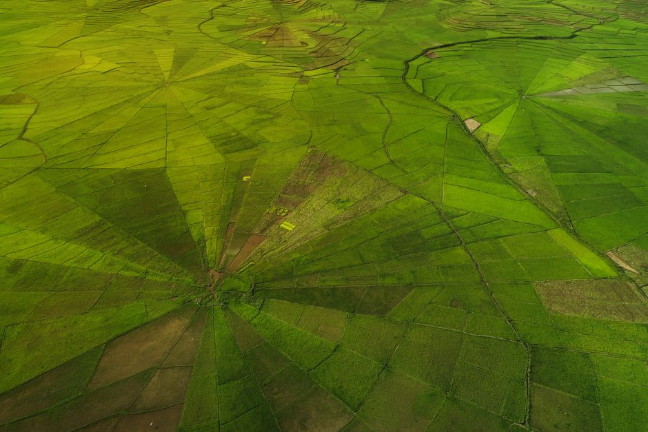 Aerial view of concentric spiderweb-patterned rice terraces in the Manggarai highlands