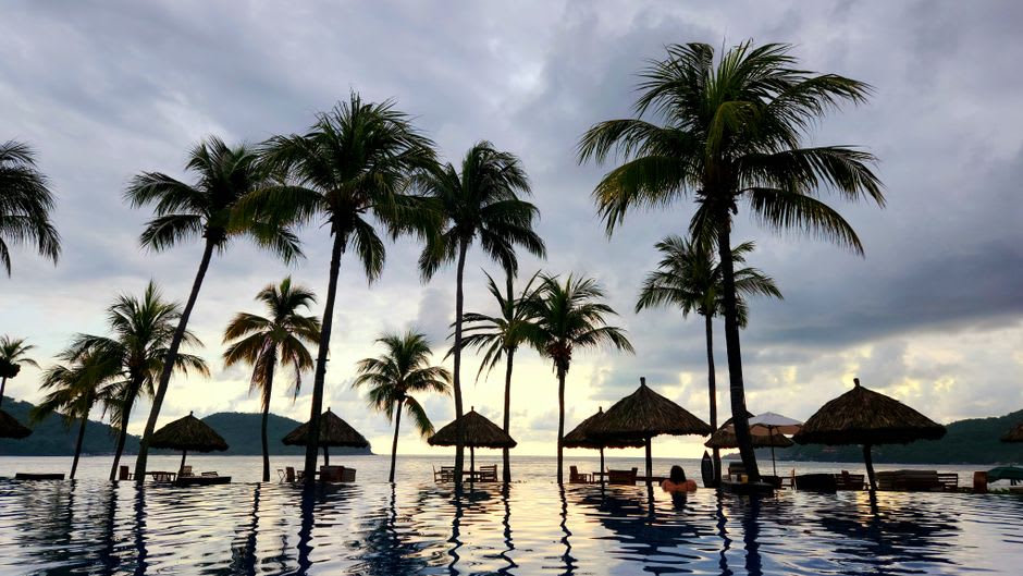 Beach club infinity pool overlooking the ocean at sunset with silhouetted palm trees