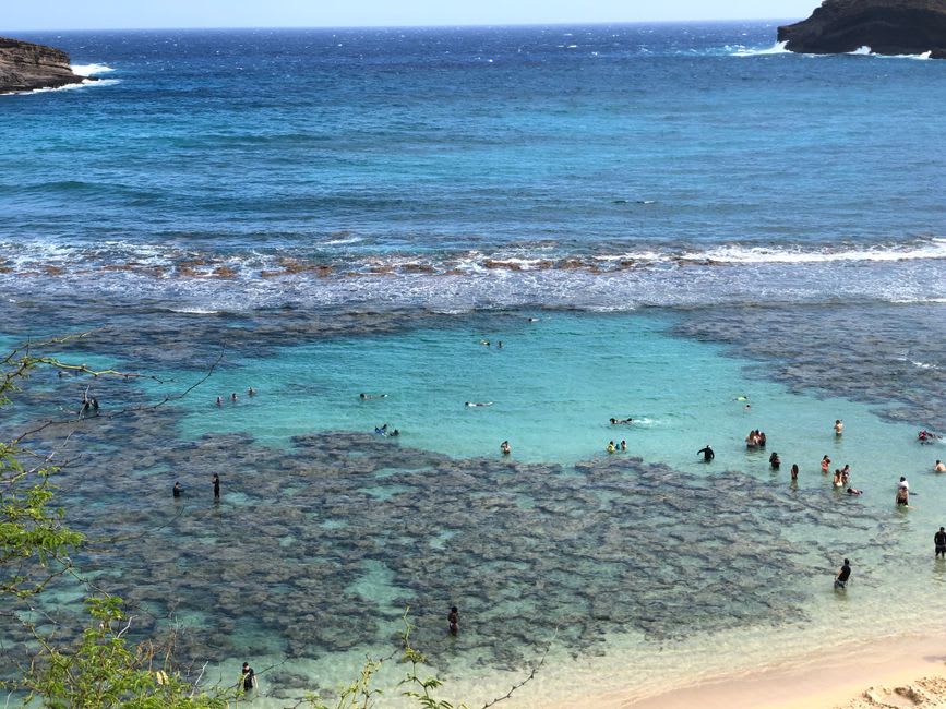 Clear turquoise water and coral reef at Blue Lagoon Beach near Padang Bai