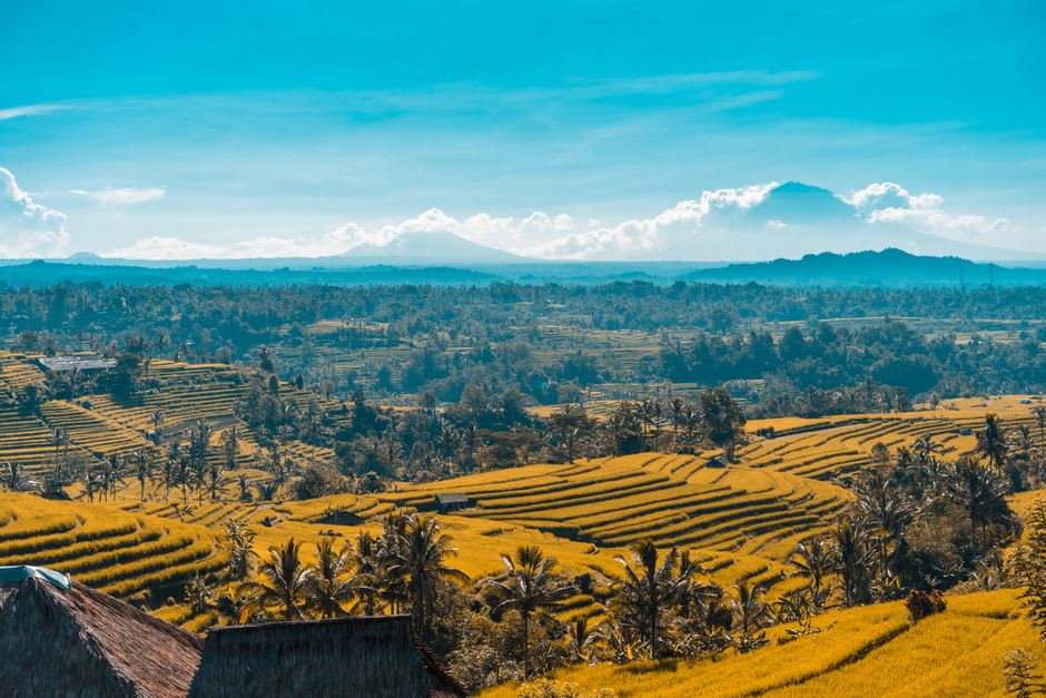 Traditional Balinese shrine at the edge of a terraced rice field with Mount Batukaru in the background