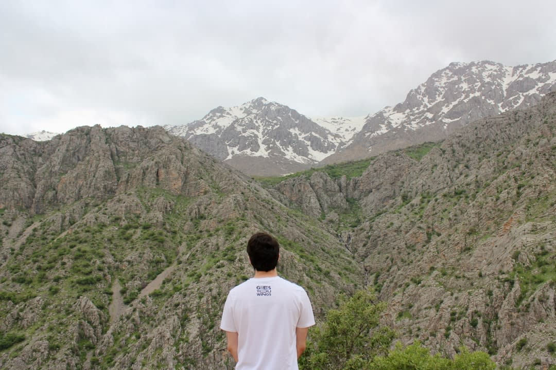 Hikers ascending a pine-shaded switchback trail above Darakeh village