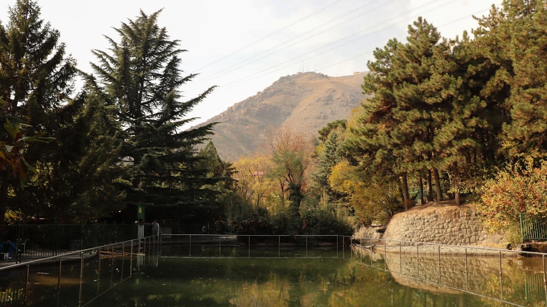Le bassin central du jardin d'Eram bordé de cyprès parfaitement alignés menant vers le manoir