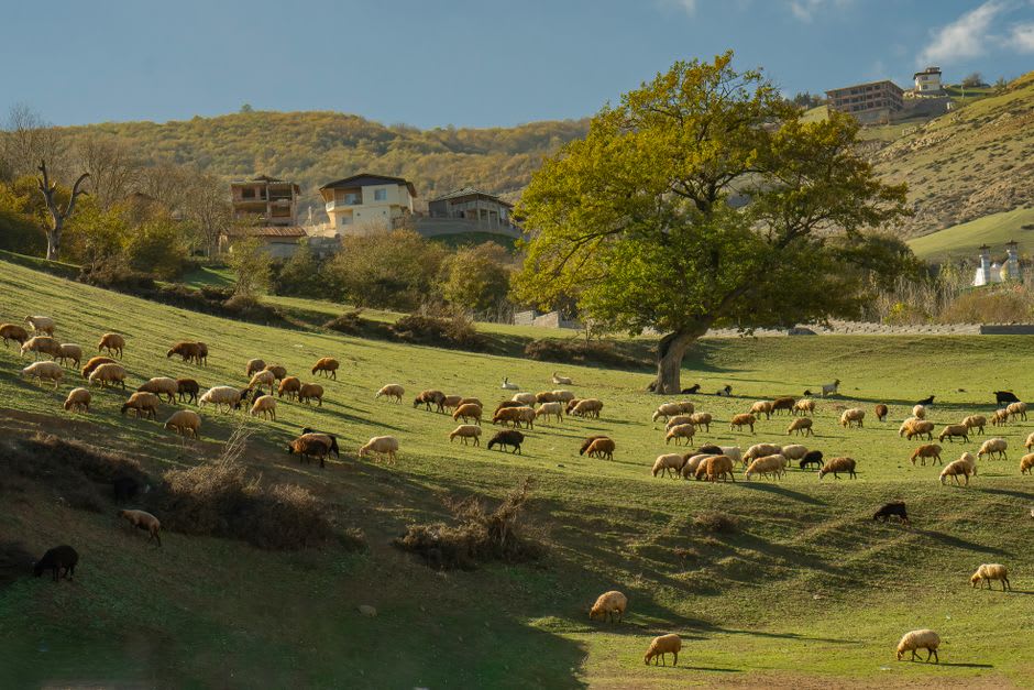 Las aguas turquesa del lago Valasht en el valle de Kelardasht rodeadas de bosque de pinos y montañas
