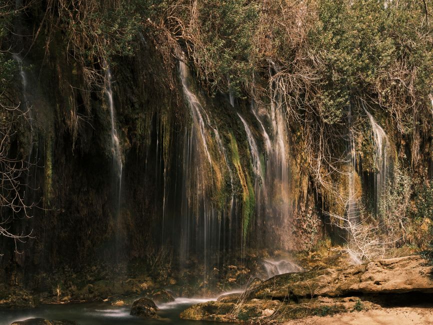 Waterfall and green canyon vegetation along the Nahal David trail at Ein Gedi