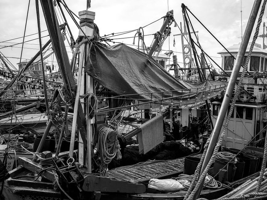 Barcas de pesca en el antiguo puerto de Jaffa con edificios de piedra arenisca detrás
