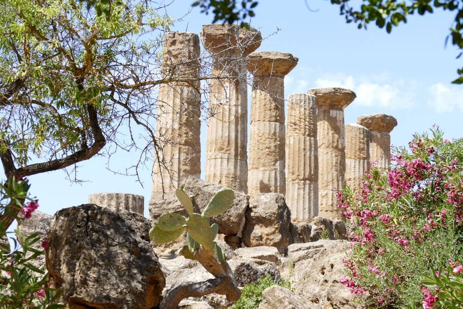 Almond trees blossoming near the ancient temple ruins in the Valley of the Temples