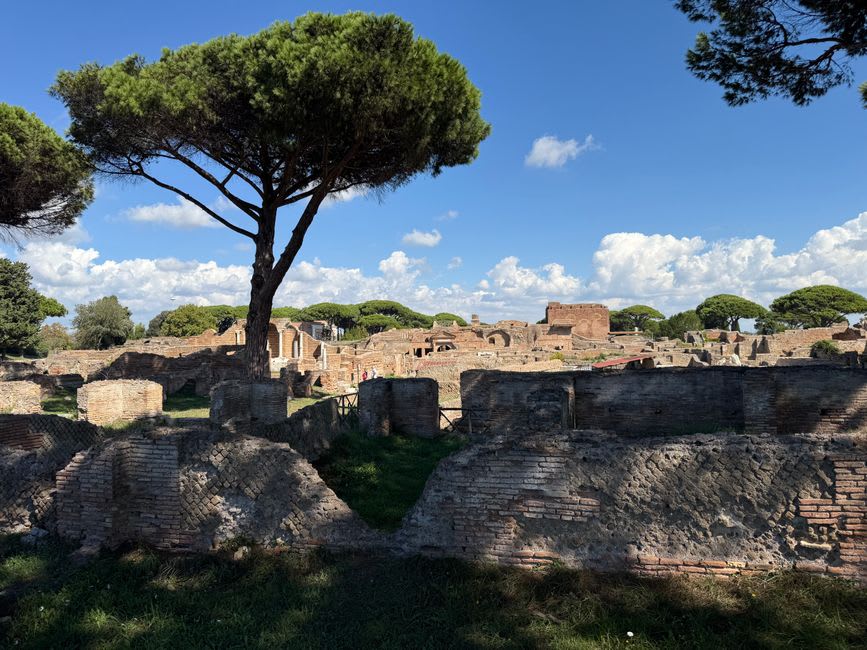 Roman apartment buildings and paved streets of Ostia Antica, with pine trees growing among the ruins