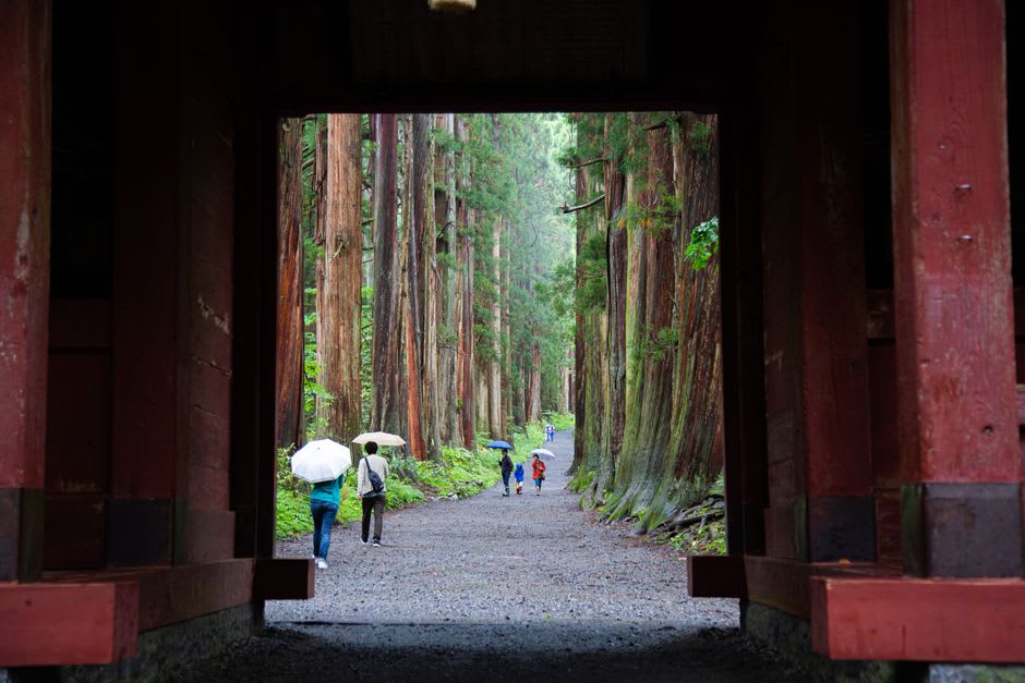 A group of white-clad yamabushi mountain ascetics walking in single file down a forest path at Dewa Sanzan, one carrying a conch shell
