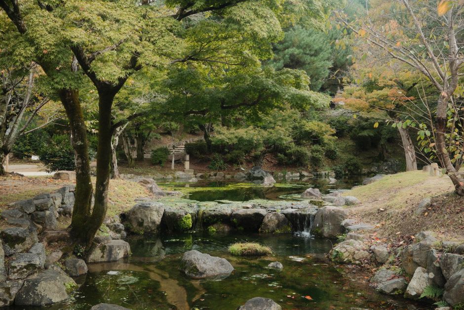 Forest walking trail with wooden boardwalk winding between the coloured ponds of Goshikinuma