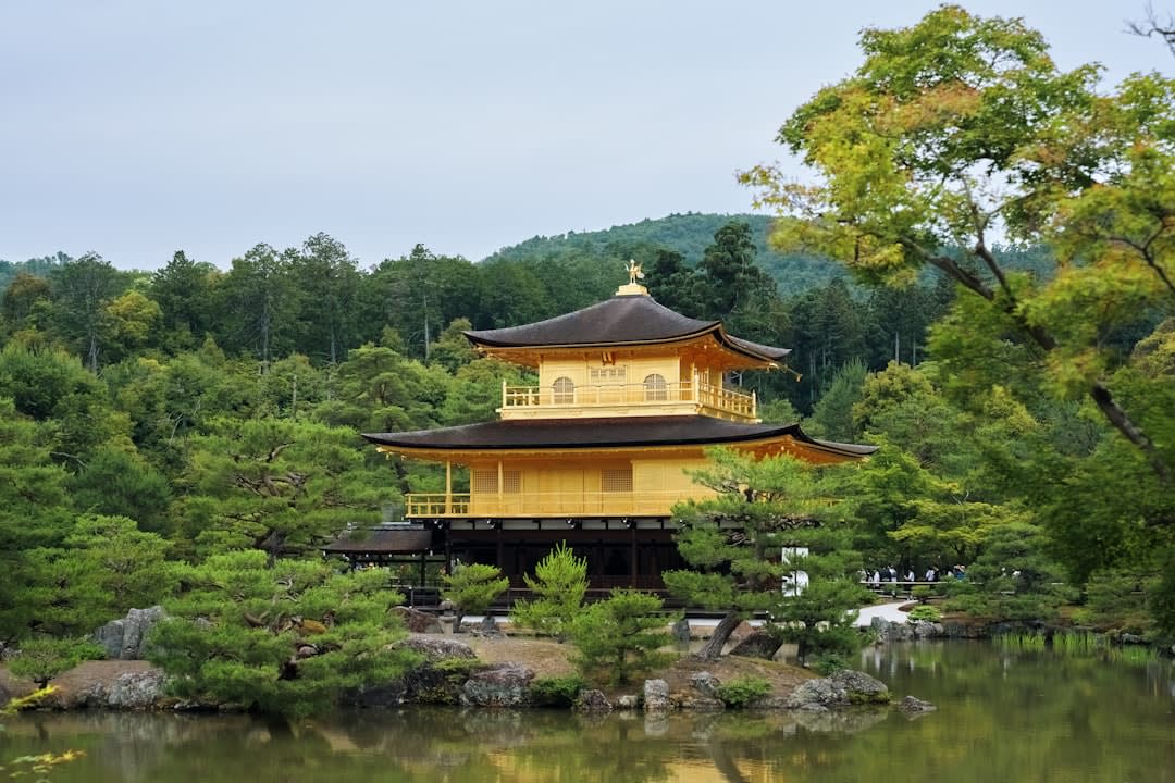 A quiet lane between rice paddies and low wooded hills in Hiraizumi, a small stone marker standing where a palace once stood