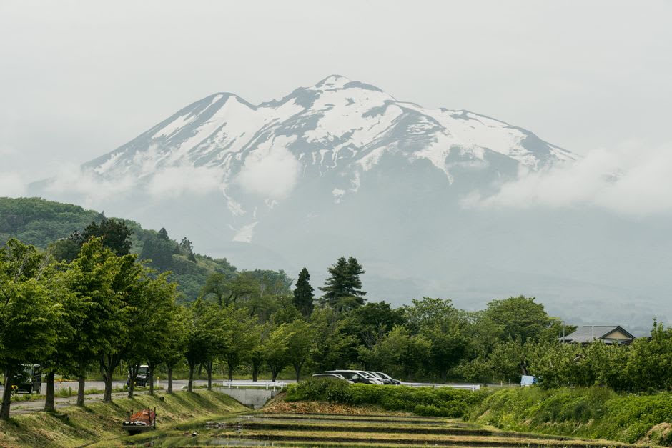 The curved viewing tunnel of Aquamarine Fukushima with schooling fish overhead