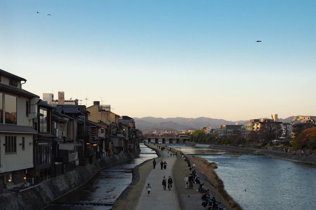 The terraced Ōyama Senmaida rice paddies at Kamogawa stepping down a green hillside, each flooded terrace reflecting the sky